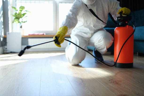 Affordable Infectious Disease Decontamination solutions in Sunnyside, GA